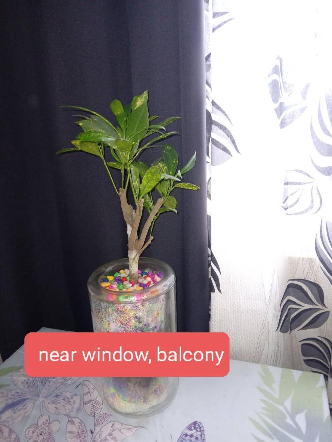 Paranaque Sm-sucat Field Res. Bldg 5, 2/f, 2br With Balcony Apartment
